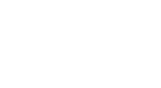 Digitimax Logo